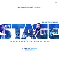 Tzomoh (Live) — Shmueli Ungar