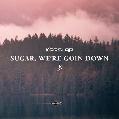 Sugar, We're Goin Down - Single