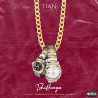 Tshifhinga (feat. Romeo ThaGreatWhite, Venda Prince & Mu Nwali) - Single - TiaN