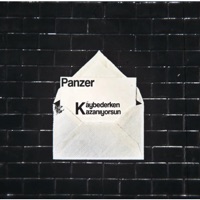 Kaybederken Kazanıyorsun - Single - panzer