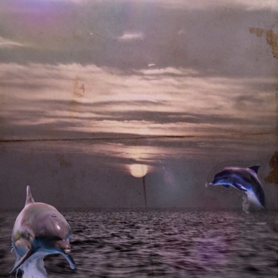 Ты из кирпича, или просто из дерева? - Single