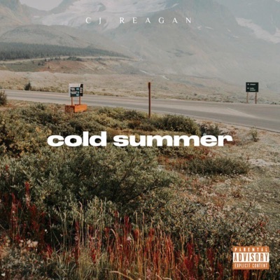 Cold Summer - Single
