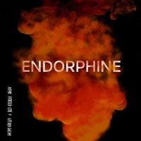 Endorphine - Single - Patrick Lite, Vitaly Gray & KEY-B