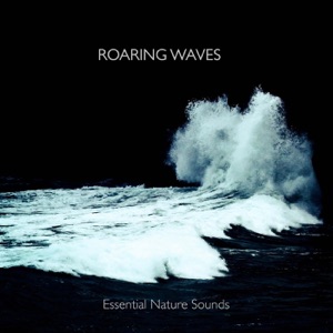 Roaring Waves - EP