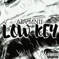 Low Key - Single - Alvmnii