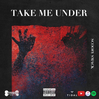 Take Me Under - Single