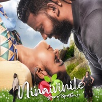 Ninaivinile - Single - Ak Shoun & Mathi