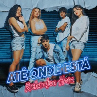Até Onde Está - Single - Richardson Hotz
