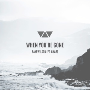 When You're Gone (feat. Char)