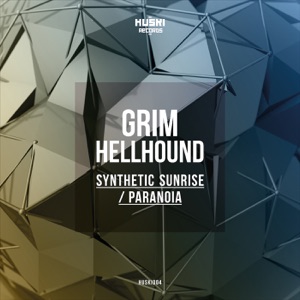 Synthetic Sunrise / Paranoia - Single