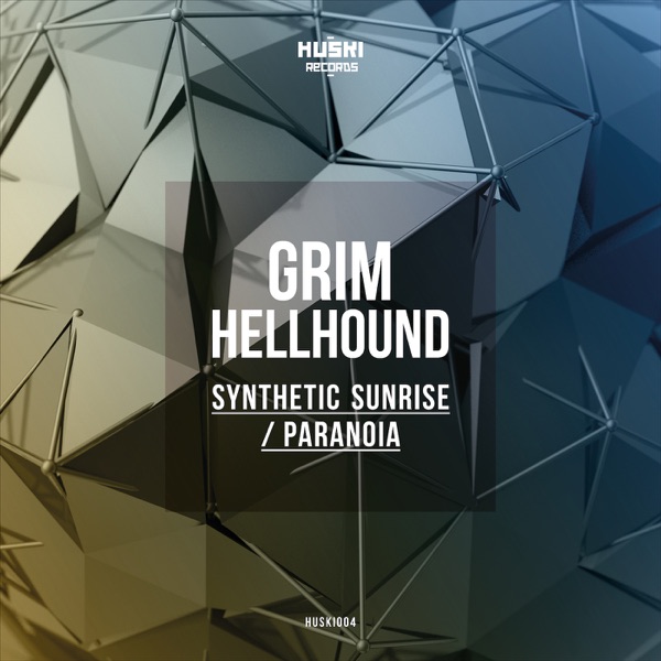 Synthetic Sunrise / Paranoia - Single
