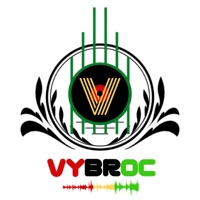 Love You Need - Single - Vybroc