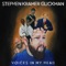 Sharper Lawsuit - Stephen Kramer Glickman lyrics