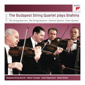 Quintet No. 2 In G Major, Op. 111: I. Allegro non troppo, ma con brio