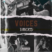 Voices - Single - YmCkd