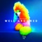 A Perfect Coat - Dan Deacon lyrics