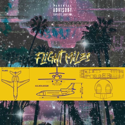 Flight Miles