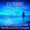 Calming Music - Oasis of Relaxation Meditation lyrics