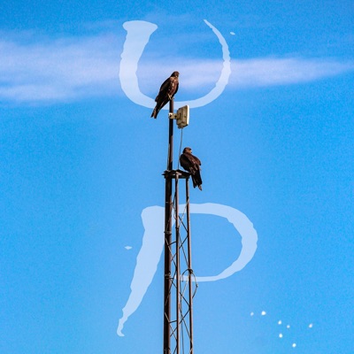 Up (feat. Peachblood) - Single