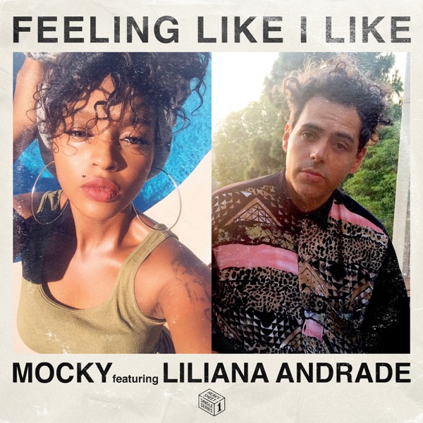Feeling Like I Like - Single