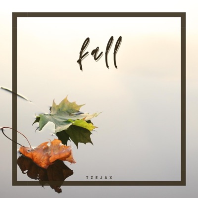 Fall (feat. Aashmeit Kaurr) - Single