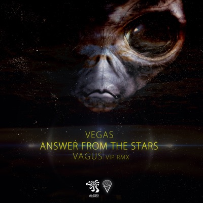 Answer from the Stars (Vagus Vip Remix) - Single