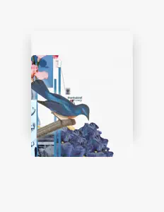 Listen to Thanksbird!, watch music videos, read bio, see tour dates & more!