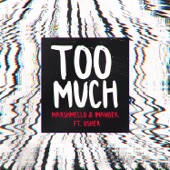 Too Much (feat. Usher) artwork