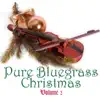 Bluegrass Christmas Jamboree - O Holy Night