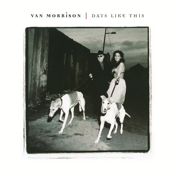 Cover artwork for I'll Never Be Free