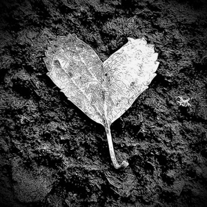 If My Heart Aches (Atticus Dub Mix) - Single