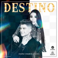 Destino (feat. Marcela Reyes) - Single - B King