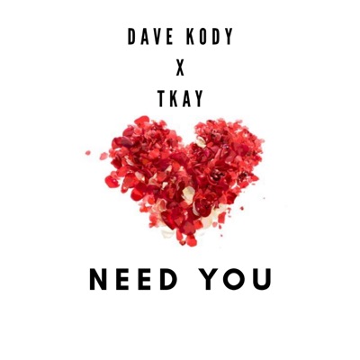 Need You (feat. Tkay) - Single