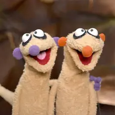 Listen to Jan & Henry, watch music videos, read bio, see tour dates & more!