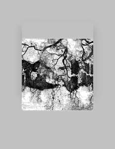 FACELESSNAMELESS: песни, клипы, биография, даты выступлений и многое другое.