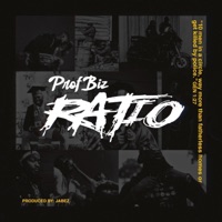 Ratio - Single - Prof. Biz