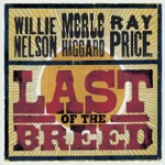 Willie Nelson, Merle Haggard & Ray Price - Pick Me Up On Your Way Down