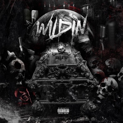 Wildin' - Single