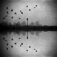 There Is No Point in Worrying, There Is Only Now. (feat. Ekeon) - Single - Weepings