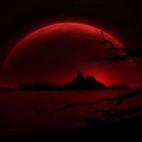 Hermit - Single - Beauuk