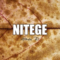 Nitege (feat. Burna) - Single - Hitmaker Tk2