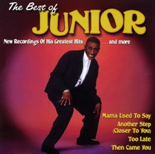 Junior - Do You Really (Want My Love)