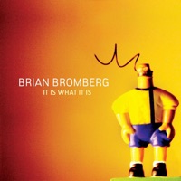 It Is What It Is - Brian Bromberg