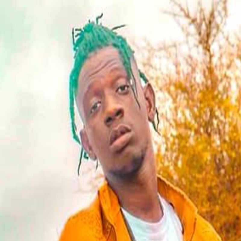 simow - Tougnaranke (feat. MARAKA MOUSSA)