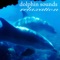 Dolphin Sleep - Sea Nature Players lyrics