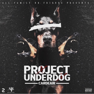 Project Underdog