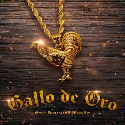 Gallo de Oro (feat. Grupo Destacado) - Single