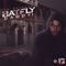 Bat Fly artwork