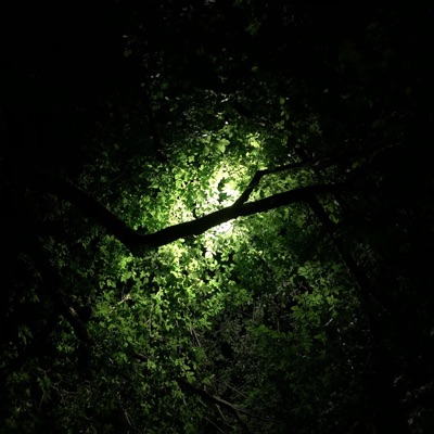 Fractured - Single