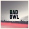 Rare Candy - Bad Owl lyrics